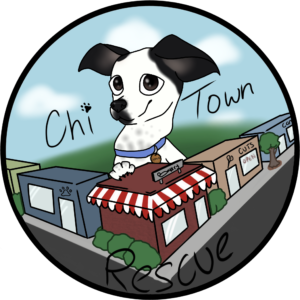 CTR Logo