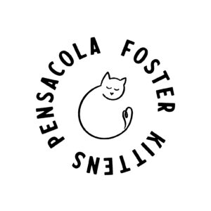 LizPensacolaFosterKittensBW-02
